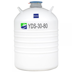YDS-50B-80 - Binh đựng nitơ lỏng 50 lít bảo quản mẫu lạnh Haier BioMedical